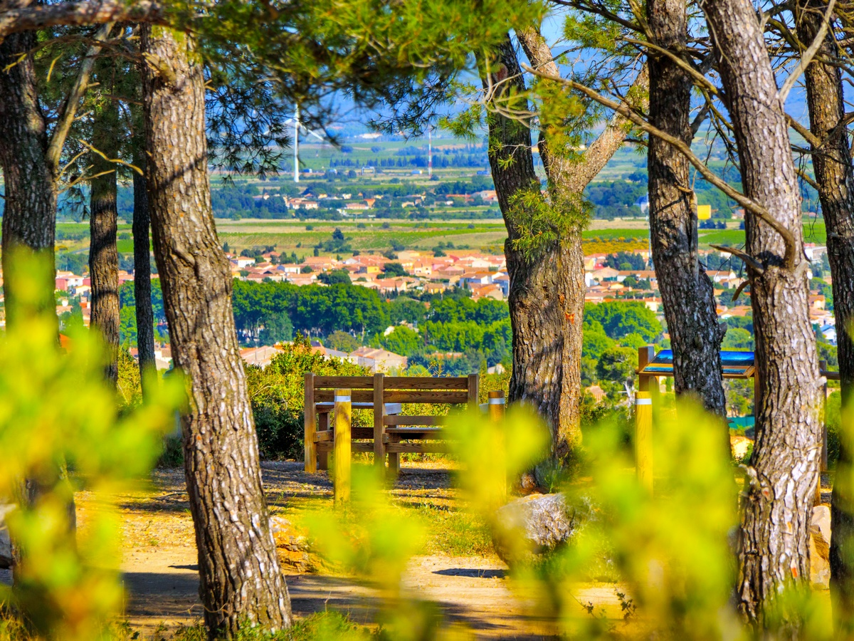 Vue sur Lézignan-Corbières à travers les pins